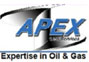 Apex Geo Logo
